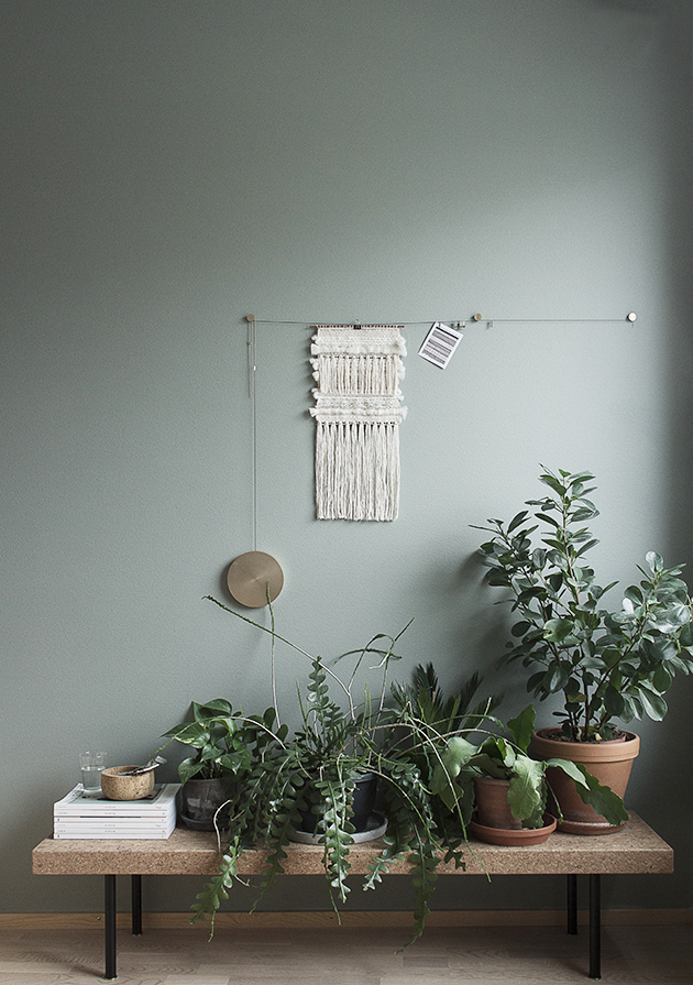 13. plants